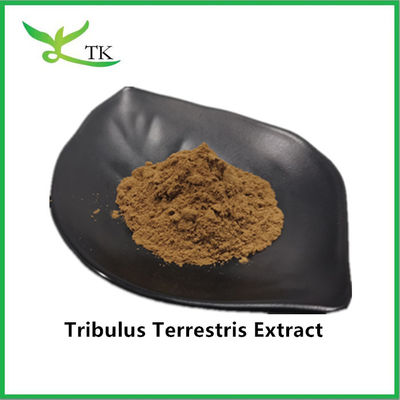 Najlepsza cena hurtowa 100% Ekstrakt Tribulus Terrestris Natural Powder Saponin 40%