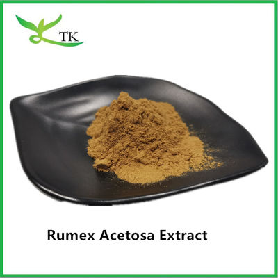 Ceny hurtowe 100% naturalny ekstrakt ziołowy Rumex Acetosa L.