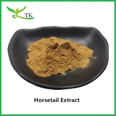 100% naturalny ekstrakt z ogona konia w proszku Equisetum Arvense Extract 10:1