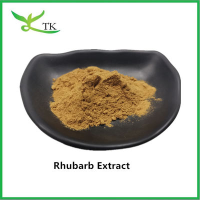 Ekstrakt z naturalnej rabarbary Ekstrakt z korzenia rabarbary Proszek Rheum Palmatum