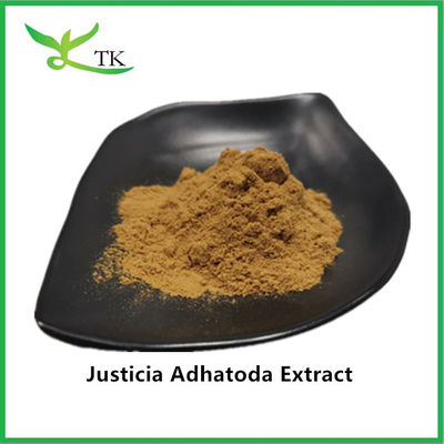 100% naturalny ekstrakt z Justicia Adhatoda w proszku1