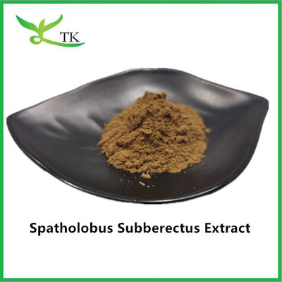 100% naturalny ekstrakt z Caulis Spatholobi Powder Spatholobus Suberectus