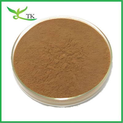 Ceny hurtowe Ekstrakt Polypodium Leucotomos Natural Powder Polypodium Extract
