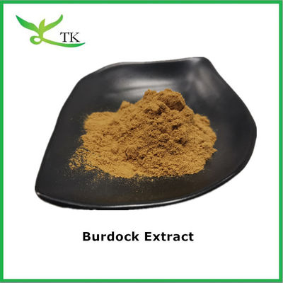 Czyste naturalne ekstrakt botaniczny, ekstrakt korzenia burdock, ekstrakt 4:1, ekstrakt burdock
