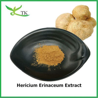 Produkty spożywcze Czyste naturalne ekstrakt z Hericium erinaceum Hericium erinaceum Powder