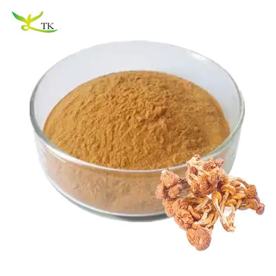 Food Grade Pure Natural Pholiota Nameko Extract Polysaccharides Powder