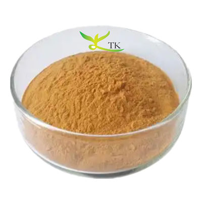 Ceny hurtowe 100% naturalnego ekstraktu z verbascum thapsus:1