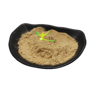 100% naturalny ekstrakt Eucommia Ulmoides Powder Eucommia Leaves Extract Cena