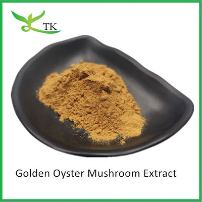 Naturalny suplement grzybów Pleurotus Citrinopileatus Golden Oyster Mushroom Extract Powder