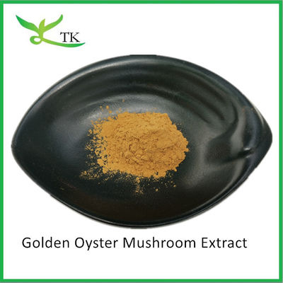 Naturalny grzyb Polisacharydy Pleurotus Citrinopileatus Ekstrakt Puszka Citrine Pleurotus Ekstrakt