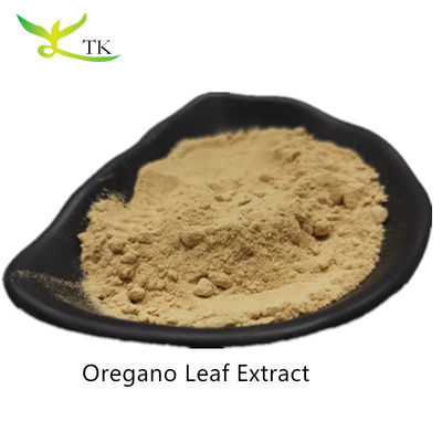 Ceny hurtowe 100% ekstrakt naturalny z oregano w proszku ekstrakt z liści oregano