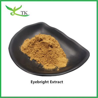 Żywność 100% naturalny ekstrakt z eyebright w proszku