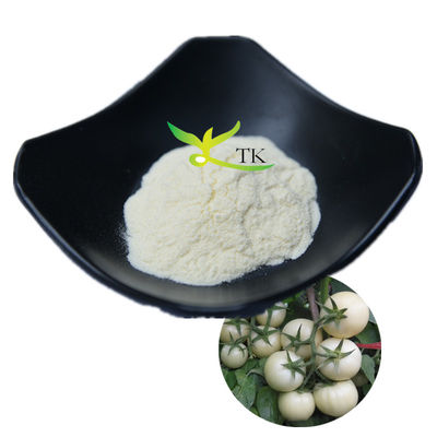 Gorąco sprzedawany 100% naturalny solanum lycopersicum biały proszek pomidorowy 10:1 20:1