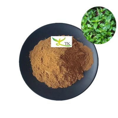 Naturalny ekstrakt z kalmegh Andrographis Paniculata w proszku