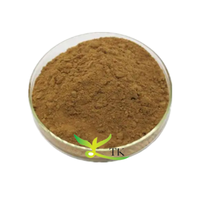 Cena hurtowa Darmowa próbka Ekstrakt z zielonej herbaty Saponina Ekstrakt z Camellia Sinensis Saponina z herbaty luzem