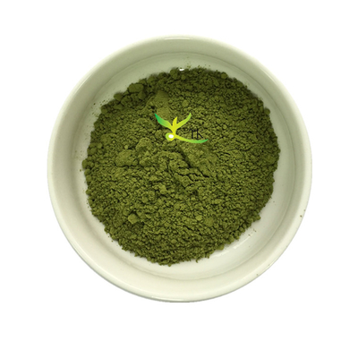 Najlepsza Cena Czysty Naturalny Organiczny Ekstrakt z Liści Moringa w Proszku Ekstrakt z Moringa Oleifera