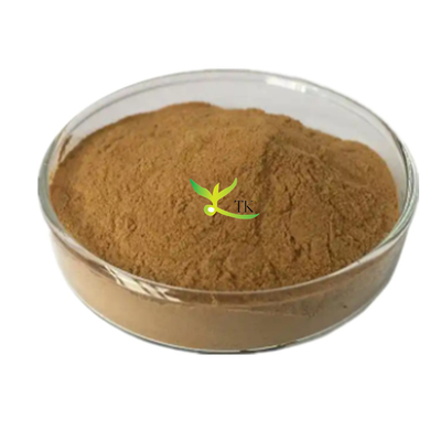 Naturalny Lysimachia Christina Extract Powder 10:1 Lysimachia Christinae Hance Powder Extract