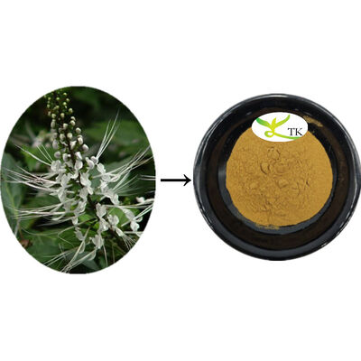 Naturalny Orthosiphon Aristatus Ekstrakt Orthosiphon Leaf Extract Proszek oczyszczający Calculi