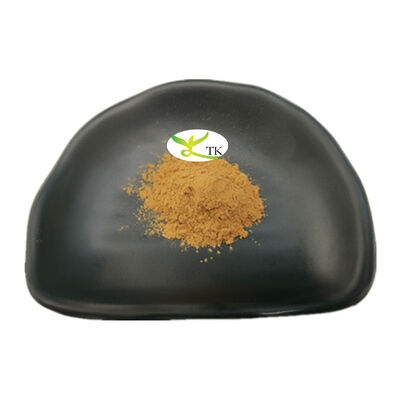 Ceny hurtowe Ekstrakt nasion naturalnych Paullinia cupana