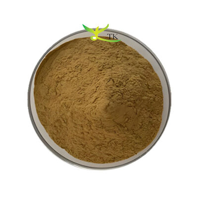 Bacopa Monnieri ekstrakt 40% Bacopasides Powder Brahmi Extract Powder