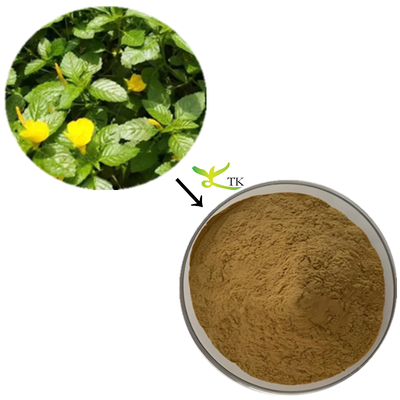 Najwyższej jakości Damiana Extract Powder 20:1 Damiana Powder Extract Capsules