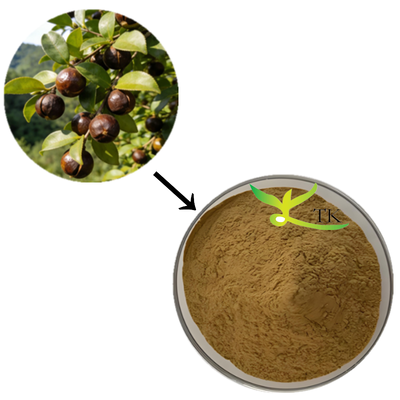 Cena hurtowa 100% naturalny ekstrakt z Camellia Sinensis w proszku ekstrakt z saponin herbacianych do kosmetyków