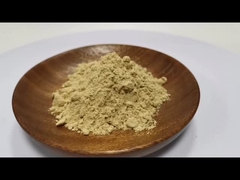 Najwyższej jakości 100% naturalny ekstrakt z korzenia Panax Ginseng Ginsenosides Powder 10%~80%
