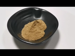 Produkty spożywcze Najlepsza cena Aloe Vera Powder Naturalny ekstrakt z Aloe Vera w magazynie