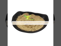 100% naturalny ekstrakt Eucommia Ulmoides Powder Eucommia Leaves Extract Cena