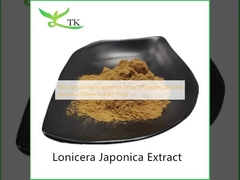 Ekstrakt Lonicera japonica naturalny w proszku