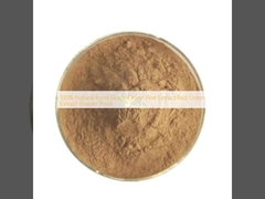 100% Naturalny Ekstrakt z Łuski Cebuli Spożywczej Ekstrakt z Czerwonej Cebuli w Proszku Cena