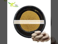 Czysty Naturalny Polisacharyd Grzybów 30% Ekstrakt z Boczniaka Ostrygowatego w Proszku