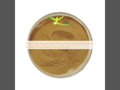 Wysokiej Jakości Naturalny Ekstrakt Roślinny Biały Ekstrakt z Persymony w Proszku Ekstrakt z Owoców/Liści Persymony