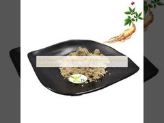 100% Naturalny ekstrakt z korzenia żeń-szenia Panax, sproszkowany korzeń żeń-szenia, luzem