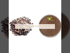 Ekstrakt z czarnego imbiru tajlandzkiego 1% 5% 5,7-dimetoksyflawon w proszku dla mężczyzn